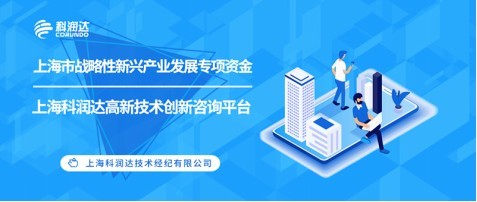 上海市戰(zhàn)略性新興產(chǎn)業(yè)發(fā)展專項資金申報要點與技術(shù)咨詢指引