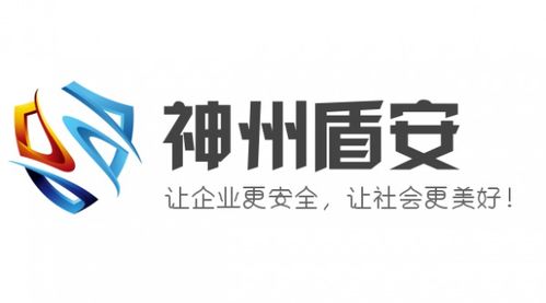 神州盾安 乘勢而上，勇做中國安全技術(shù)咨詢服務(wù)行業(yè)領(lǐng)跑者